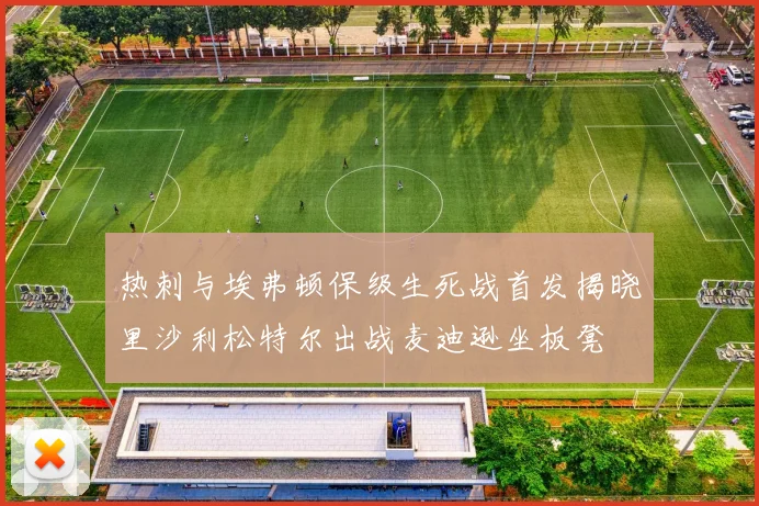 热刺与埃弗顿保级生死战首发揭晓里沙利松特尔出战麦迪逊坐板凳